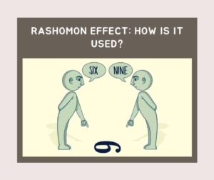 The Racoon Effect RASHOMON EFFECT: HOW IS IT USED? – Aspire Publishing Hub, LLC